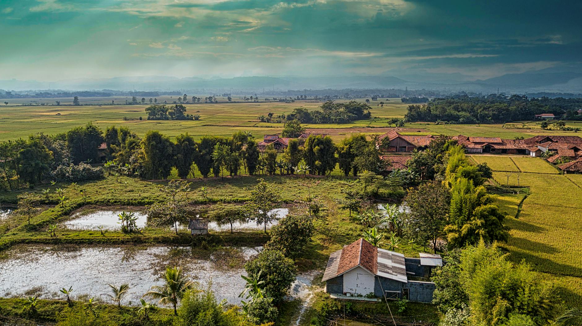 Lotniczy widok na pola uprawne i wiejskie zabudowania w Purwakarta