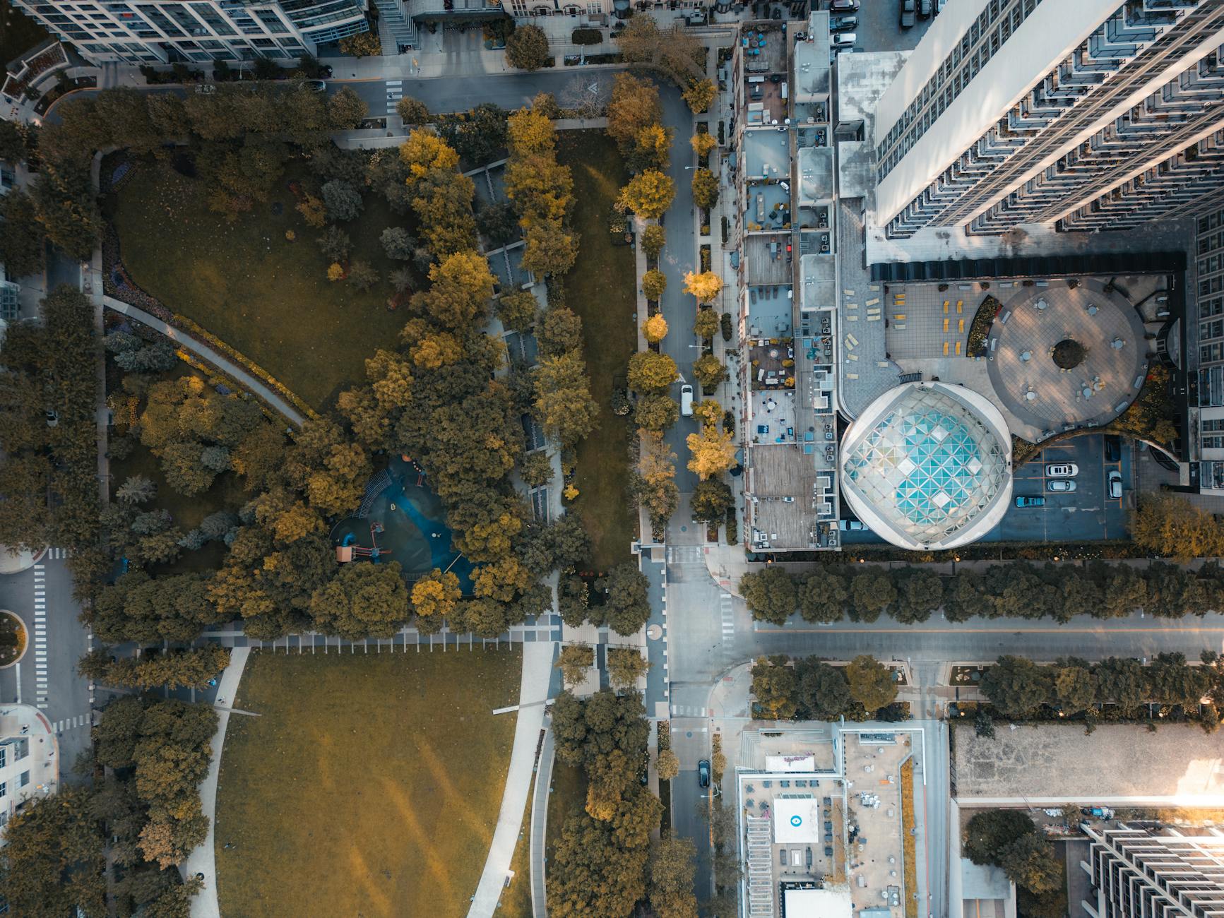 Park miejski z lotu ptaka otoczony nowoczesnymi wieżowcami