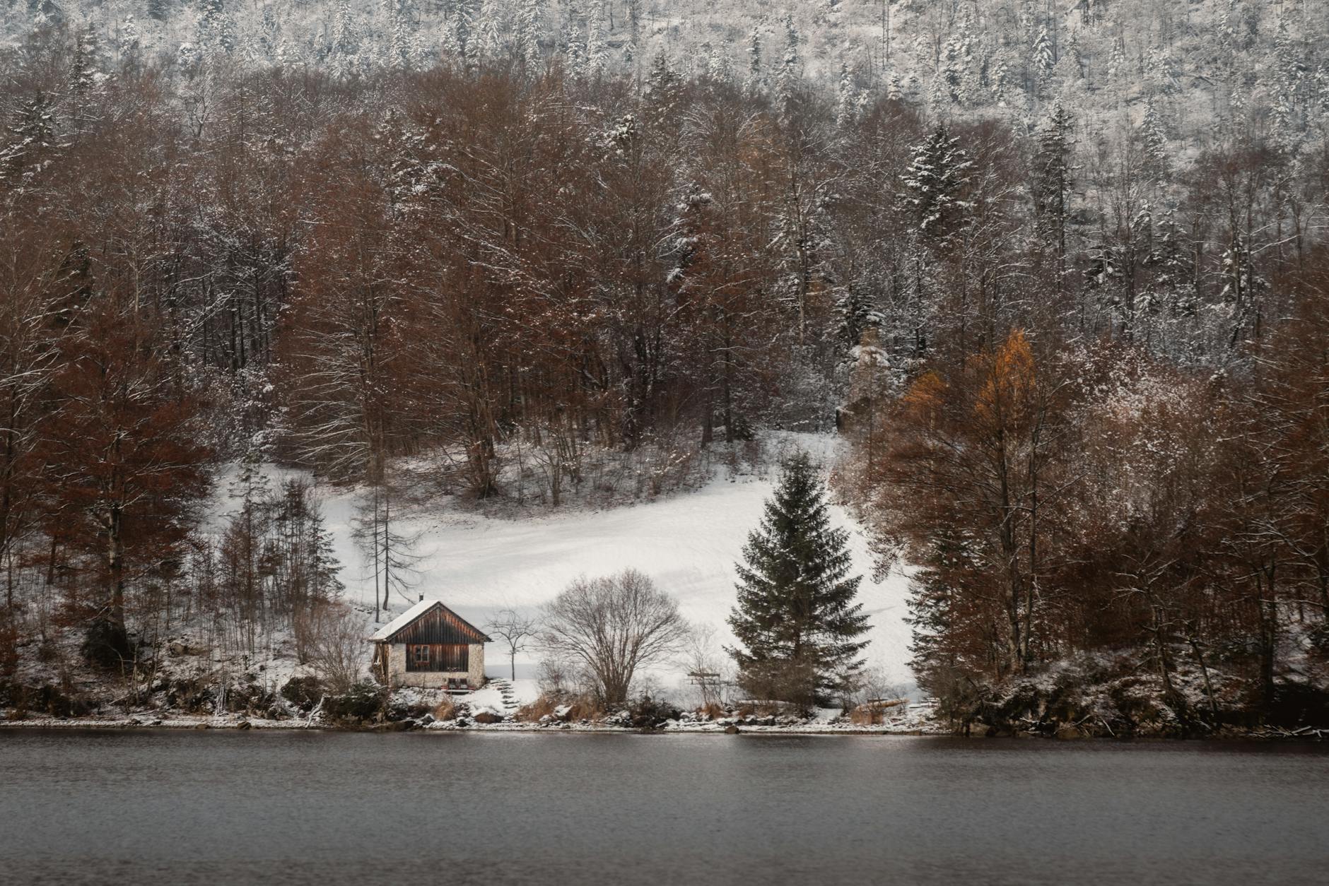 Drewniany domek nad ośnieżonym jeziorem w zimowym lesie
