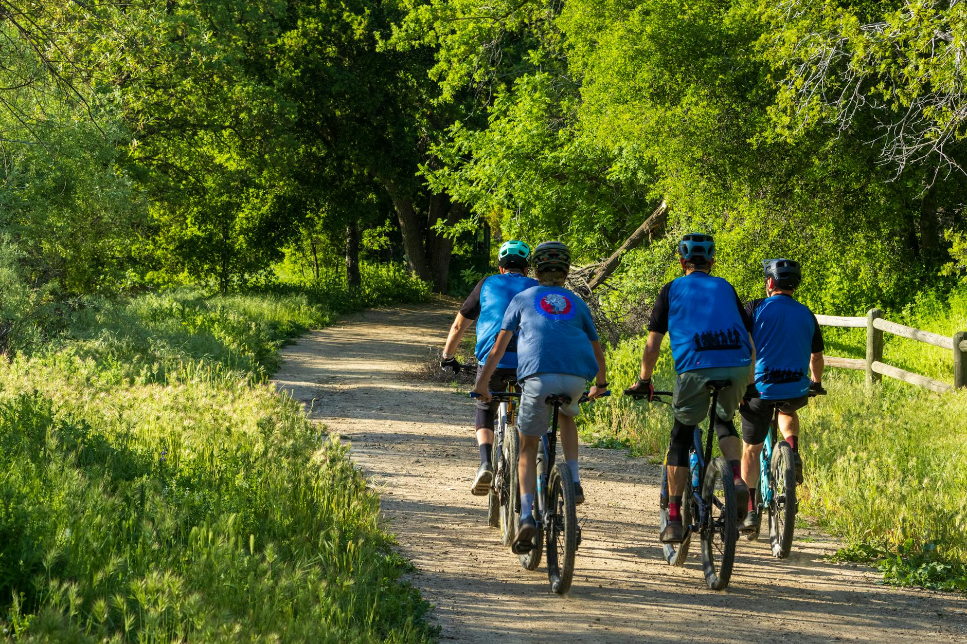Grupa rowerzystów jedzie słonecznym, zielonym szlakiem rowerowym