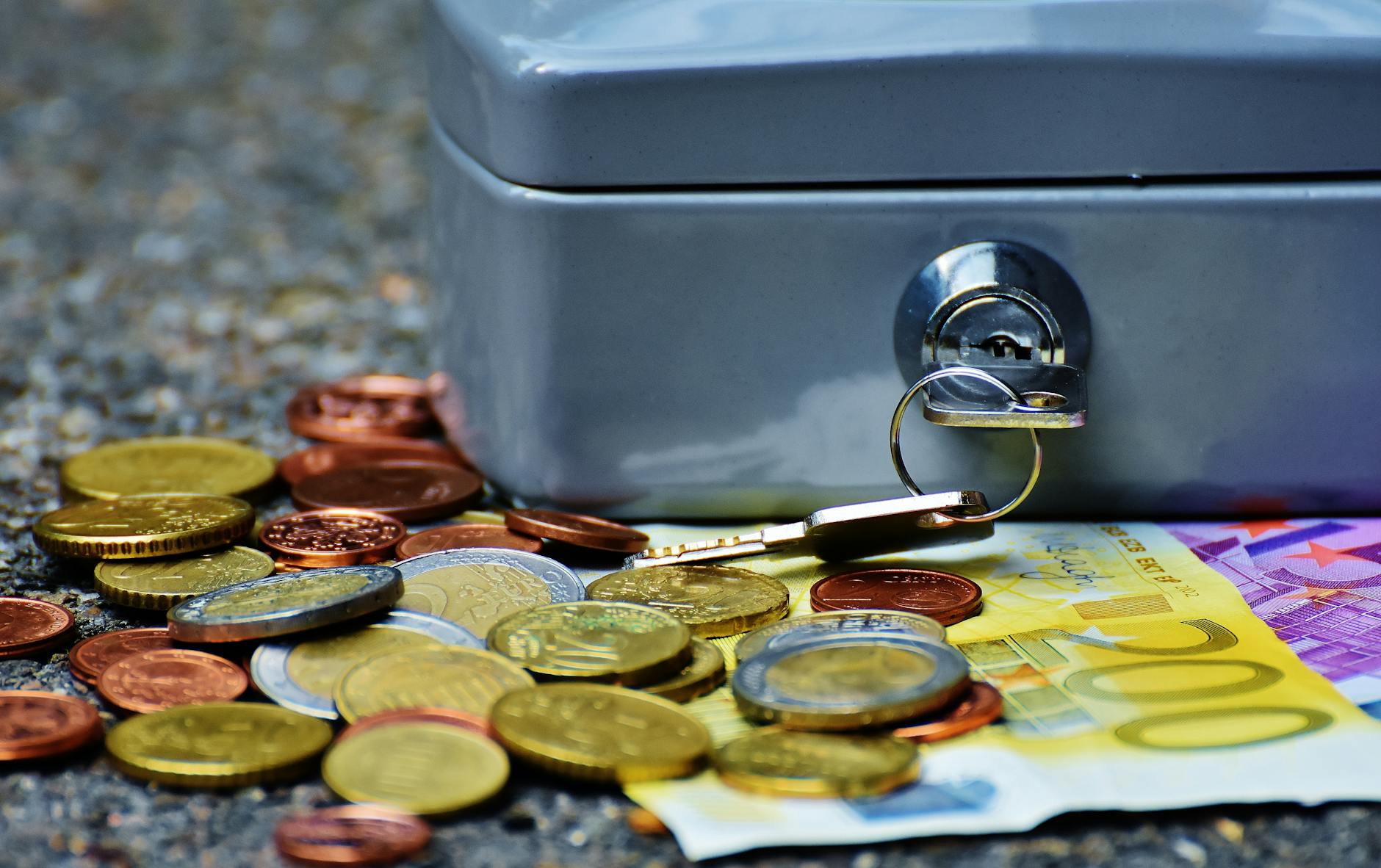 Metalowa kasetka z euro, symbol finansowania ochrony terenów cennych